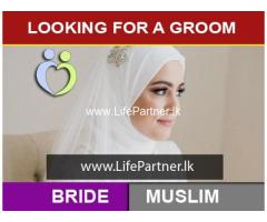 Looking for a Doctor Groom