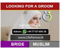 Looking for a groom