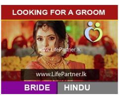 Looking for a Groom