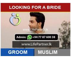 Looking for a Bride