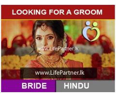 Looking for a Groom