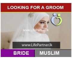 Looking for a Groom